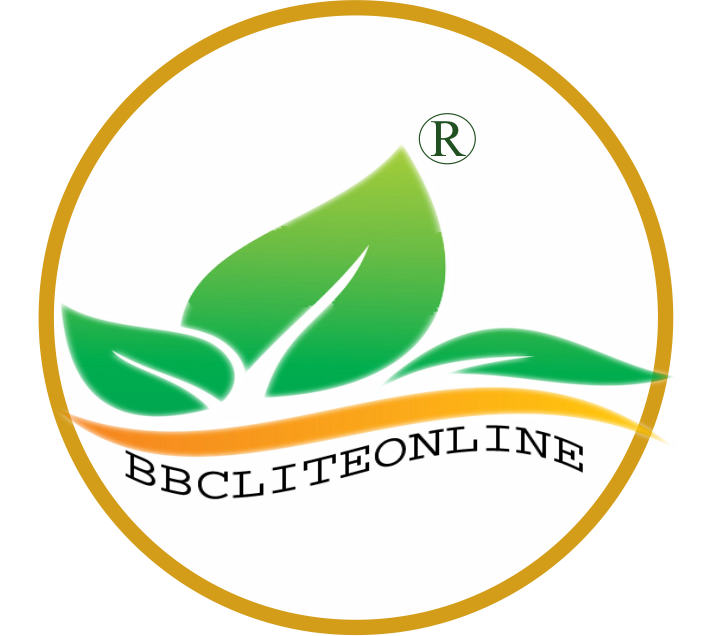 BBCLITEONLINE PRIVATE LIMITED